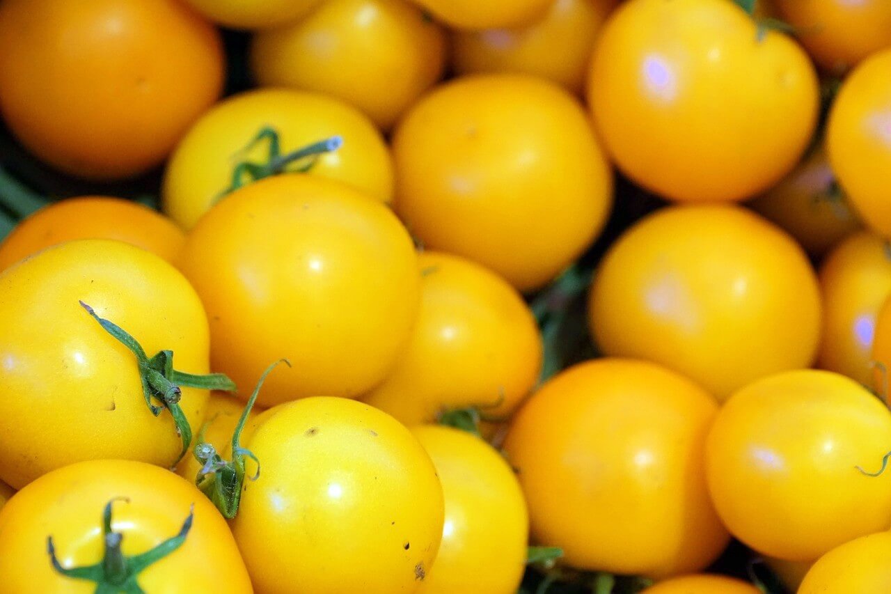 Interesting About Yellow Tomatoes